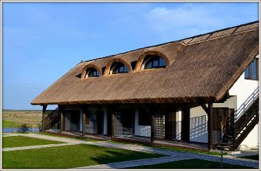 Pension in Dunavatu de Jos (Tulcea) oder Ferienwohnung oder Ferienhaus