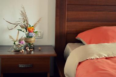 Pension in Dunavatu de Jos (Tulcea) oder Ferienwohnung oder Ferienhaus