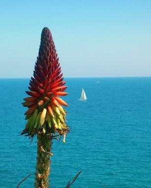 Ferienhaus in San Vito Lo Capo ( TP ) (Trapani) oder Ferienwohnung oder Ferienhaus