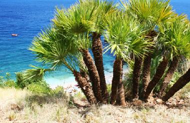 Ferienhaus in San Vito Lo Capo ( TP ) (Trapani) oder Ferienwohnung oder Ferienhaus
