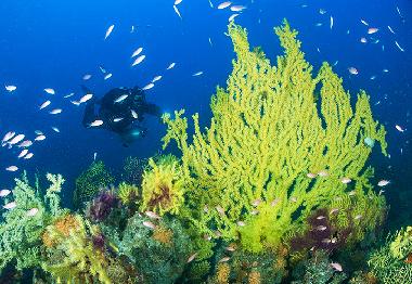 Ferienhaus in San Vito Lo Capo ( TP ) (Trapani) oder Ferienwohnung oder Ferienhaus