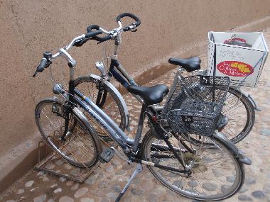 Villa in Taroudannt (Taroudannt) oder Ferienwohnung oder Ferienhaus