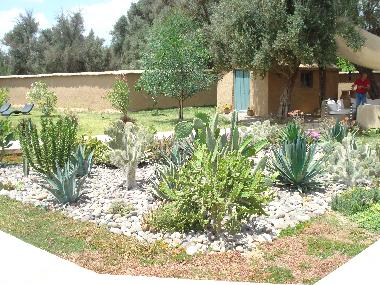 Villa in Taroudannt (Taroudannt) oder Ferienwohnung oder Ferienhaus