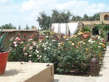 Villa in Taroudannt (Taroudannt) oder Ferienwohnung oder Ferienhaus