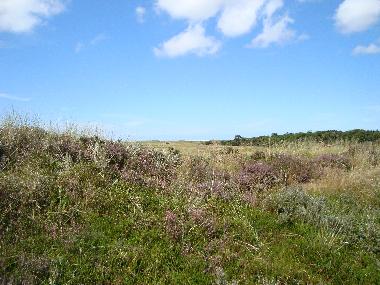 Ferienhaus in Toftum,R�m� (Sonderjylland) oder Ferienwohnung oder Ferienhaus