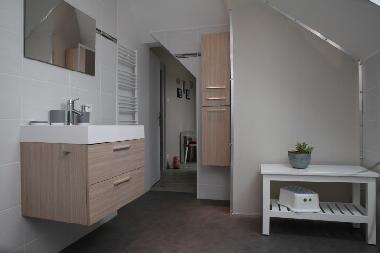 Ferienwohnung in COLMAR (Haut-Rhin) oder Ferienwohnung oder Ferienhaus