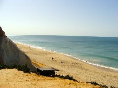 Ferienwohnung in Albufeira (Algarve) oder Ferienwohnung oder Ferienhaus
