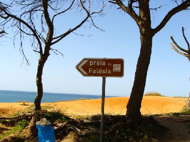 Ferienwohnung in Albufeira (Algarve) oder Ferienwohnung oder Ferienhaus