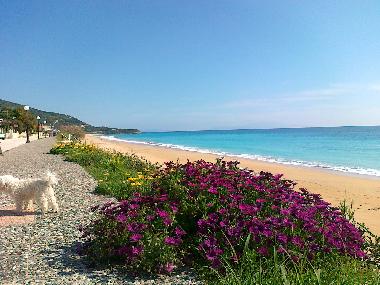 Ferienhaus in loutsa-vrachos beach (Preveza) oder Ferienwohnung oder Ferienhaus