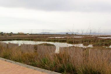 Ferienwohnung in La Marina (Alicante / Alacant) oder Ferienwohnung oder Ferienhaus