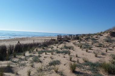 Ferienwohnung in La Marina (Alicante / Alacant) oder Ferienwohnung oder Ferienhaus