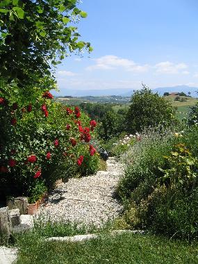 Der Weg in den Garten