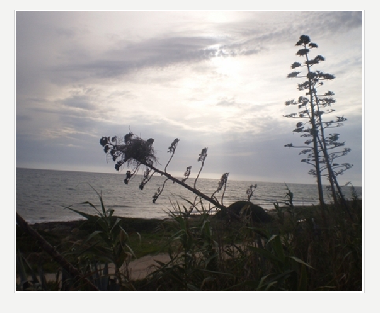 Villa in modica (Ragusa) oder Ferienwohnung oder Ferienhaus
