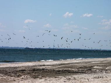 Ferienhaus in Mamaia Nord (Constanta) oder Ferienwohnung oder Ferienhaus