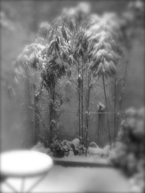 Ferienwohnung in Antwerp (Flandern) oder Ferienwohnung oder Ferienhaus