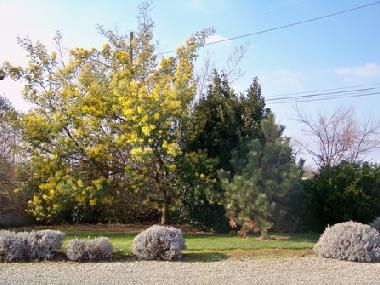Ferienhaus in Lindbergh-Plage (Manche) oder Ferienwohnung oder Ferienhaus