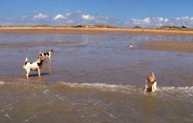 Ferienhaus in Lindbergh-Plage (Manche) oder Ferienwohnung oder Ferienhaus