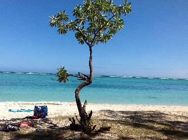 Ferienwohnung in Le Morne (Black River) oder Ferienwohnung oder Ferienhaus