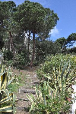 Ferienhaus in Lloret de Mar (Girona) oder Ferienwohnung oder Ferienhaus