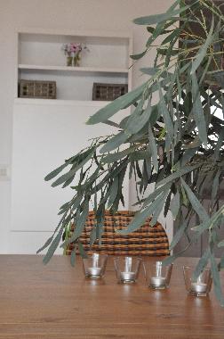 Ferienhaus in Lloret de Mar (Girona) oder Ferienwohnung oder Ferienhaus