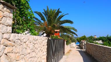 Ferienwohnung in sevid (Splitsko-Dalmatinska) oder Ferienwohnung oder Ferienhaus