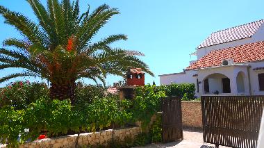 Ferienwohnung in sevid (Splitsko-Dalmatinska) oder Ferienwohnung oder Ferienhaus