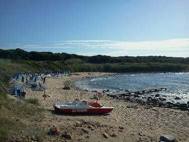 Ferienwohnung in Sardinia, Italy (Olbia-Tempio) oder Ferienwohnung oder Ferienhaus