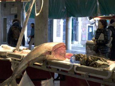 Ferienwohnung in Venezia (Venezia) oder Ferienwohnung oder Ferienhaus