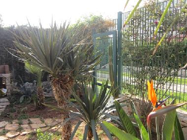 Ferienwohnung in Nard (Lecce) oder Ferienwohnung oder Ferienhaus