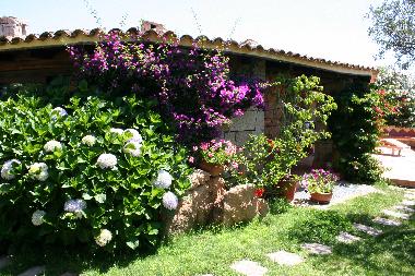 Ferienhaus in Abbiadori (Olbia-Tempio) oder Ferienwohnung oder Ferienhaus