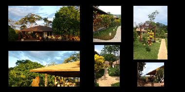 Pension in Panica (Puntarenas) oder Ferienwohnung oder Ferienhaus