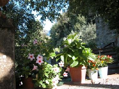 Ferienwohnung in Fiesole (Firenze) oder Ferienwohnung oder Ferienhaus