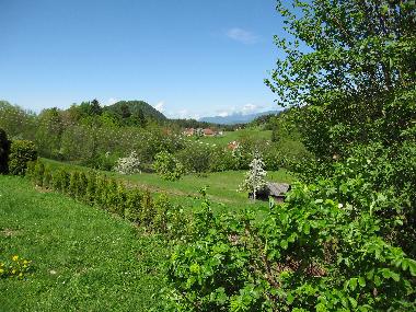Blick von der Terrasse