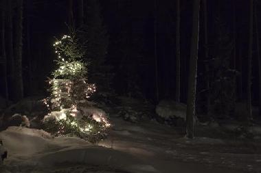 Ferienhaus in J�ms� (Lansi-Suomen Laani) oder Ferienwohnung oder Ferienhaus