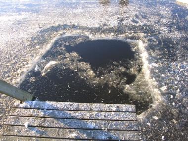 Ferienhaus in J�ms� (Lansi-Suomen Laani) oder Ferienwohnung oder Ferienhaus