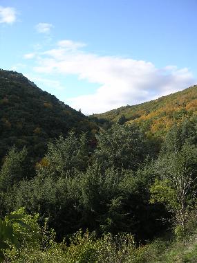 Ferienhaus in Cassagnoles (H�rault) oder Ferienwohnung oder Ferienhaus