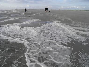 Ferienhaus in Sankt Peter-Ording (Nordsee-Festland) oder Ferienwohnung oder Ferienhaus
