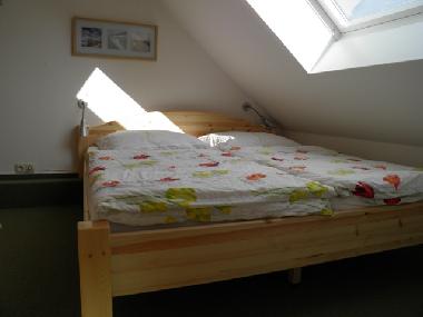 Ferienwohnung in St. Peter-Ording (Nordsee-Festland) oder Ferienwohnung oder Ferienhaus