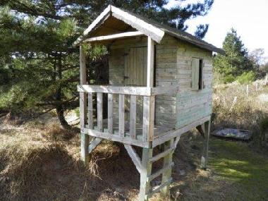 Ferienwohnung in St. Peter-Ording (Nordsee-Festland) oder Ferienwohnung oder Ferienhaus