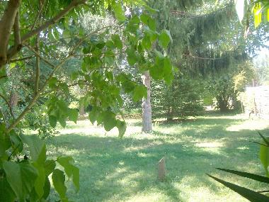 Ferienhaus in Gaillac-Toulza (Haute-Garonne) oder Ferienwohnung oder Ferienhaus