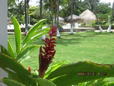 Ferienwohnung in SAN ANDRES  (Atlantico) oder Ferienwohnung oder Ferienhaus
