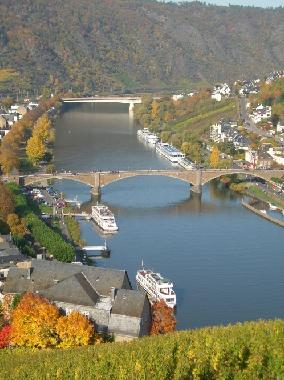 Blick auf die Mosel