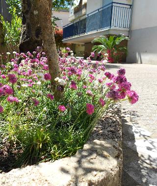 Ferienwohnung in Scauri (Latina) oder Ferienwohnung oder Ferienhaus
