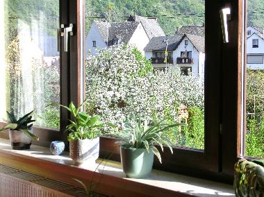 Blick aus dem Wohnzimmer
