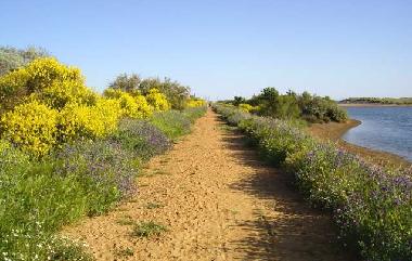 Ferienhaus in Portiragnes Plage (Hrault) oder Ferienwohnung oder Ferienhaus