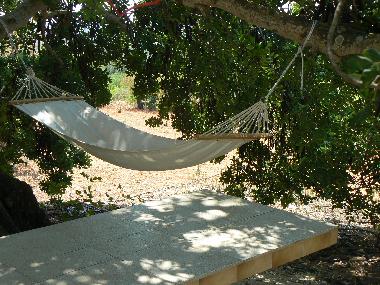 Ferienhaus in ESTOI (Algarve) oder Ferienwohnung oder Ferienhaus