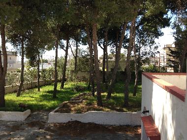 Ferienhaus in pulsano (Taranto) oder Ferienwohnung oder Ferienhaus