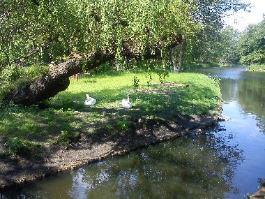 Ferienwohnung in Danzig (Pomorskie) oder Ferienwohnung oder Ferienhaus
