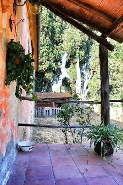 Ferienhaus in Montalcino (Siena) oder Ferienwohnung oder Ferienhaus