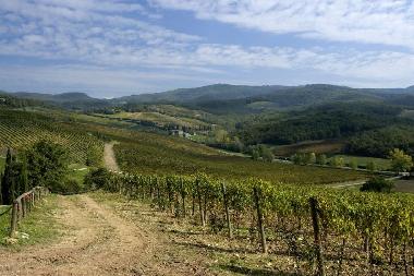 Ferienhaus in Montalcino (Siena) oder Ferienwohnung oder Ferienhaus